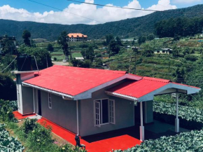 හරිත Resort
